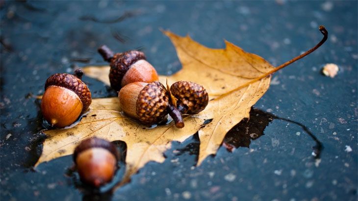 Стало відомо, яку погоду слід очікувати українцям наступного тижня