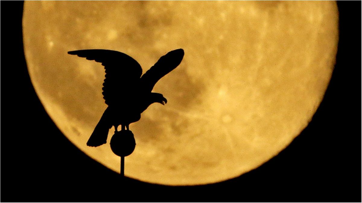 Науковці розповіли, коли можна буде побачити унікальний Супермісяць