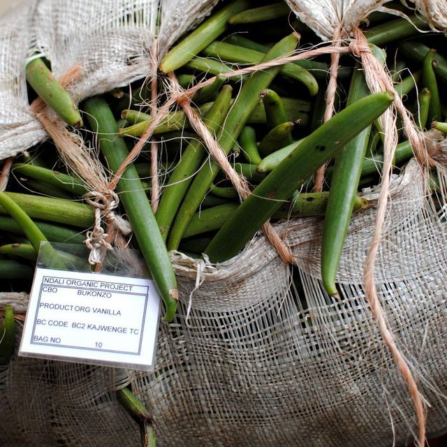 Як насправді вирощують екзотичні овочі та фрукти - фото 122365