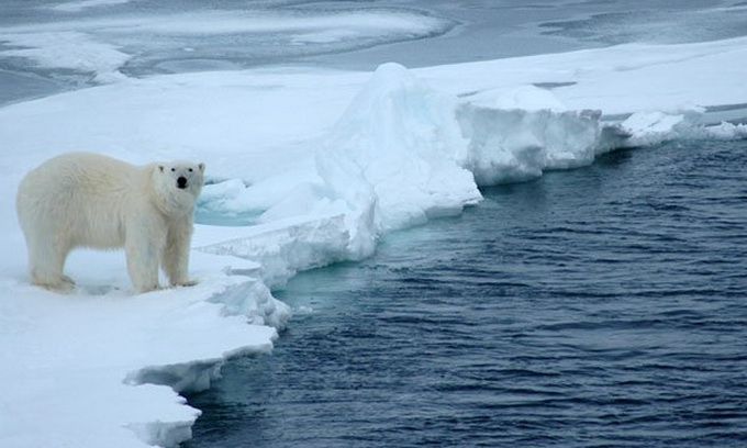 Новий температурний рекорд зафіксували на Північному полюсі