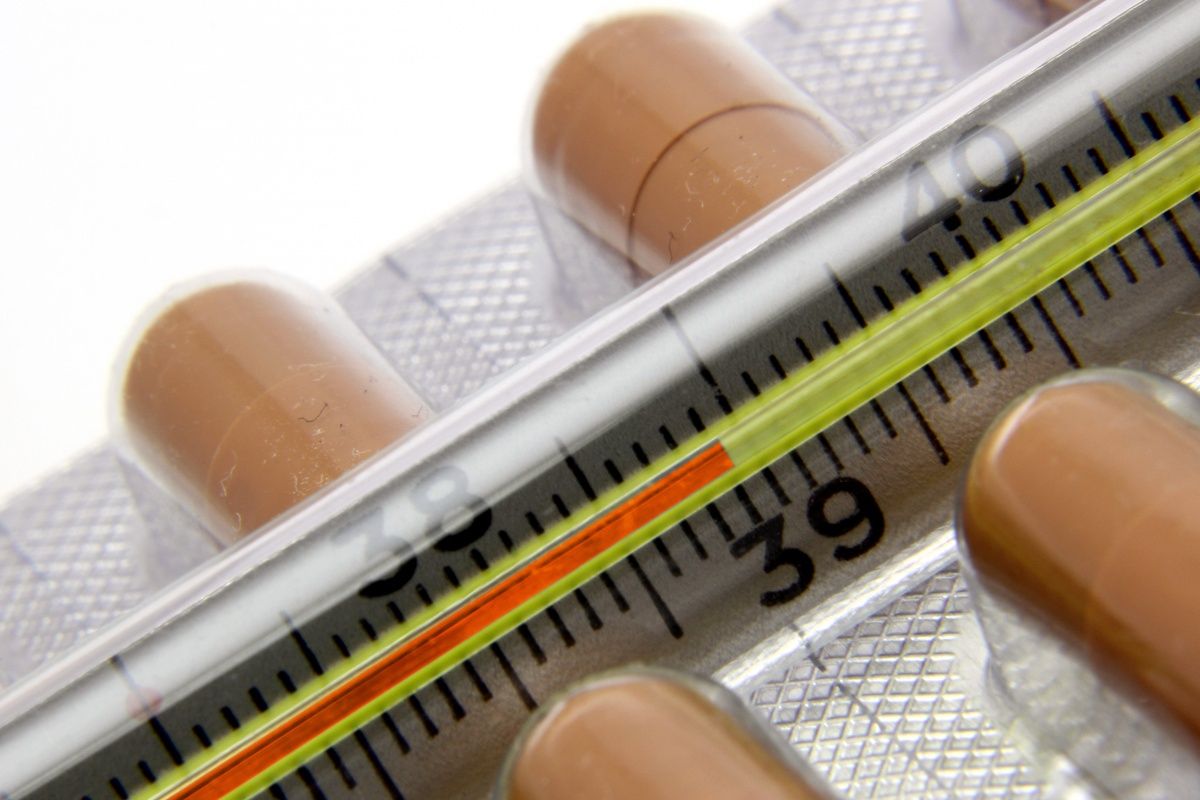 Грип - фото 1