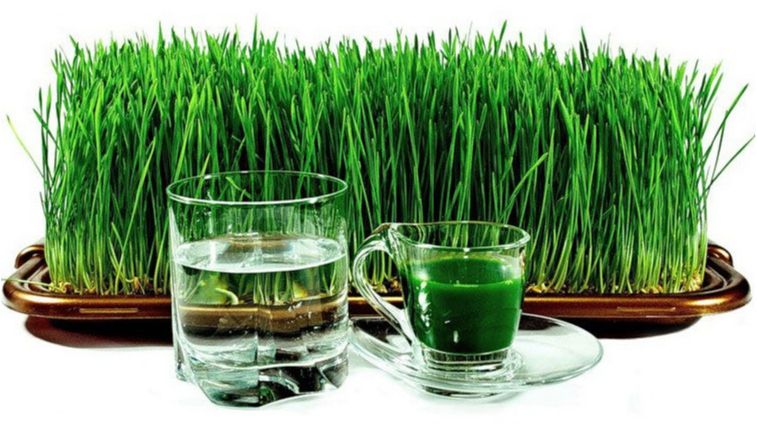 Лікарі склали список найкорисніших напоїв