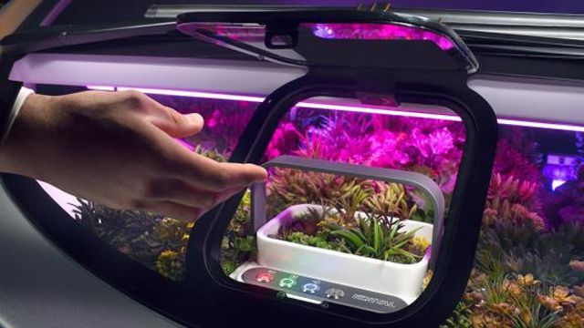 Oasis - фото 125148