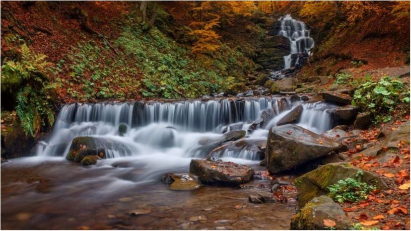 Wikipedia показала найкращі фото природи України за 2016 рік