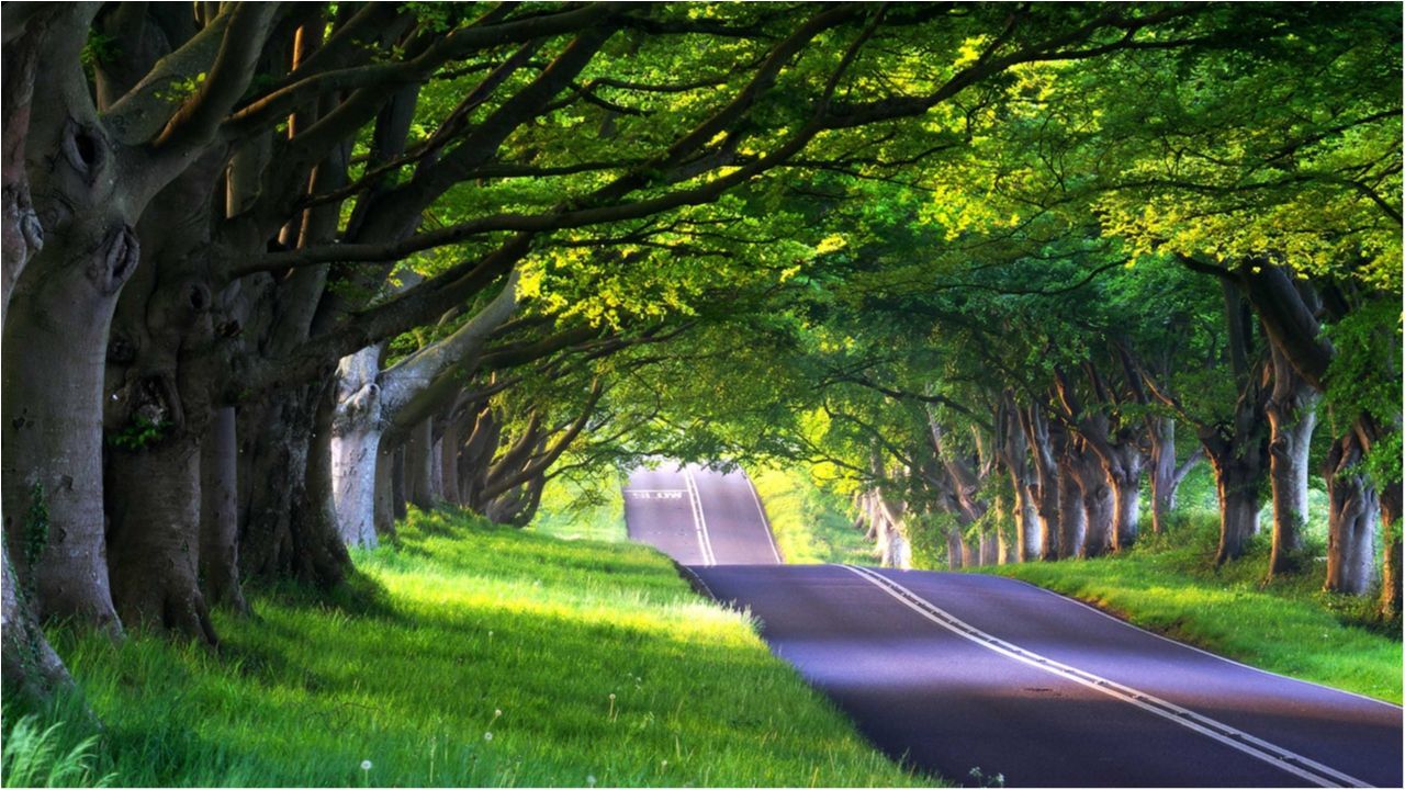 У Кабміні розповіли, коли відремонтують дороги