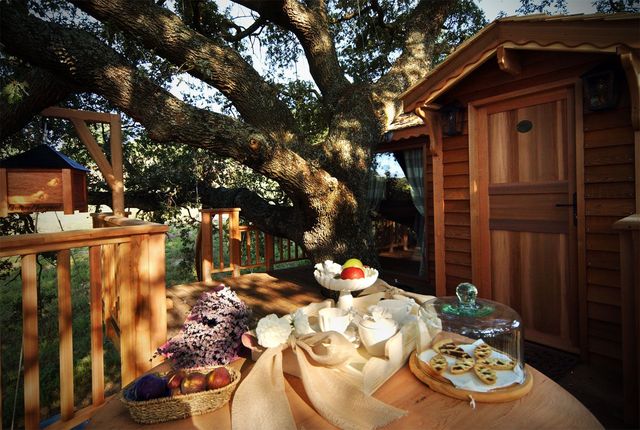 Готель - фото 129007