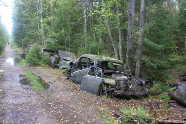 Car - фото 126775