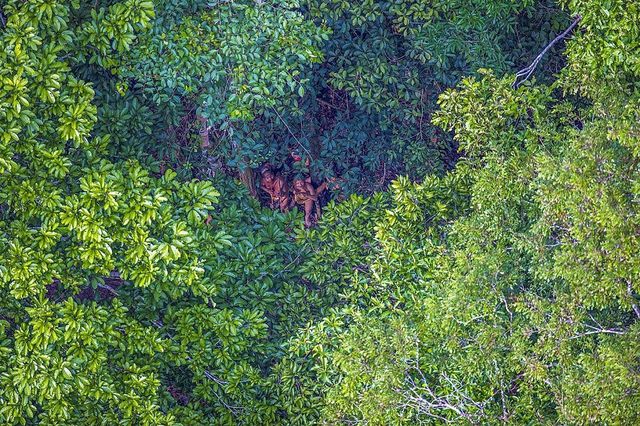 Життя племені у тропіках з висоти пташиного польоту: вражаючі фото - фото 129344
