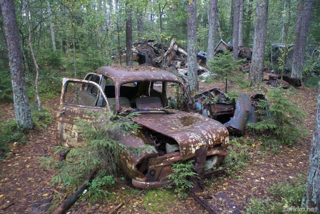 Car - фото 126766