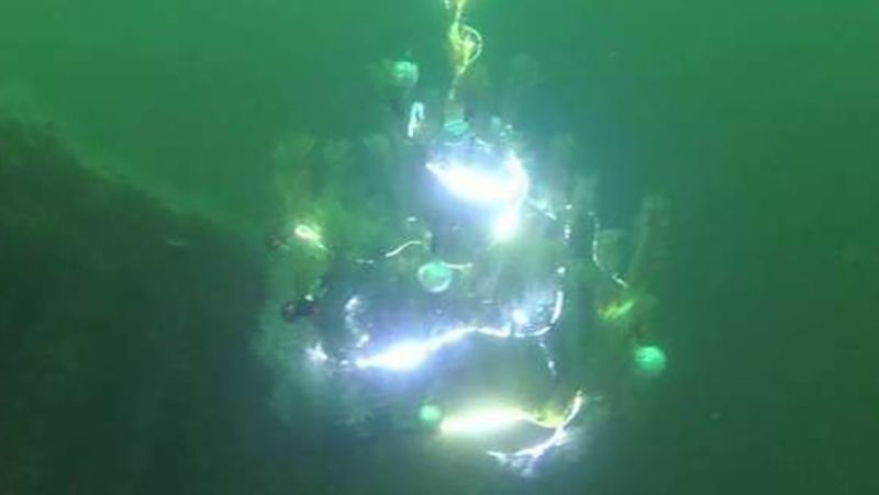 Дайвери встановили ялинку на дні моря - фото 1