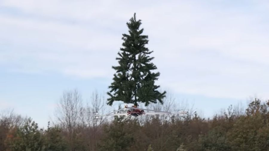 У мережі показали літаючу ялинку