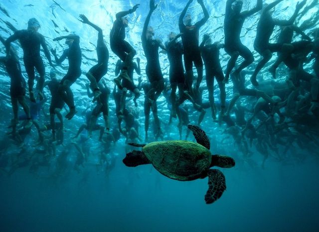 Обрано найяскравіші фото тварин 2016 року 
 - фото 130032