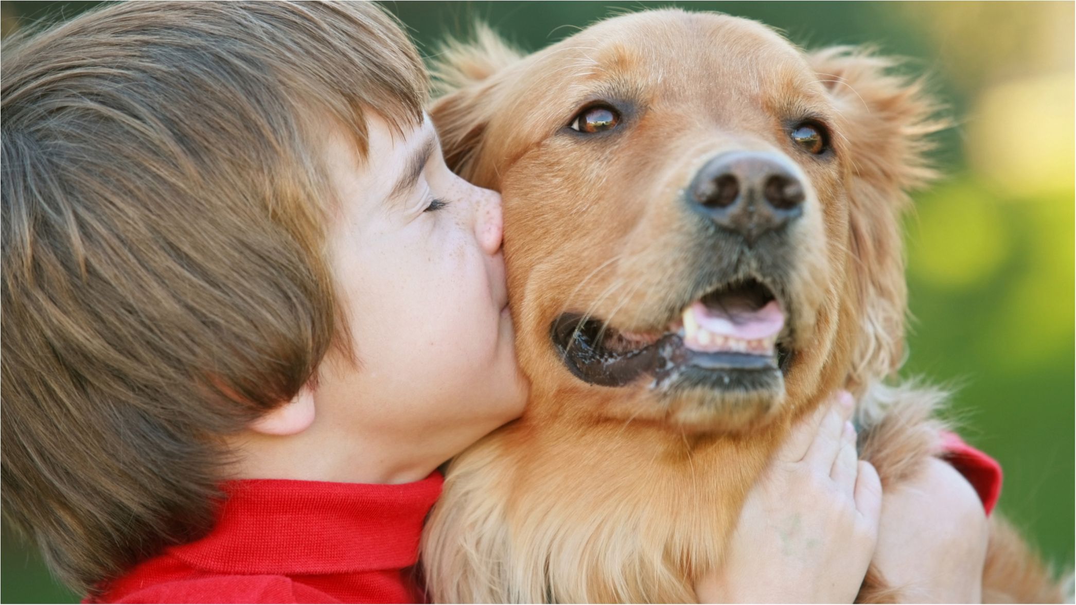 Вчені підтвердили, що домашні тварини продовжують життя господарів