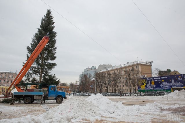 У Києві встановили головну ялинку України - фото 124120