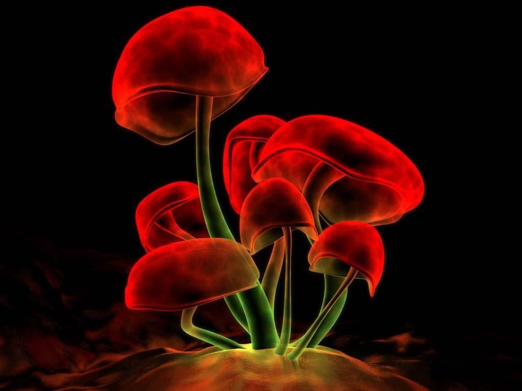 Галюциногенні гриби здатні боротися з депресією