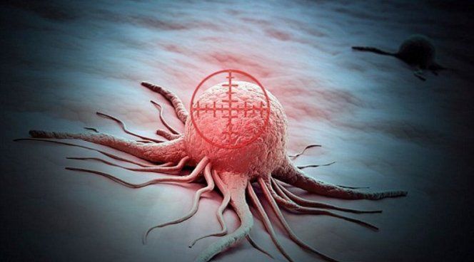 Вчені розкрили важливий секрет раку