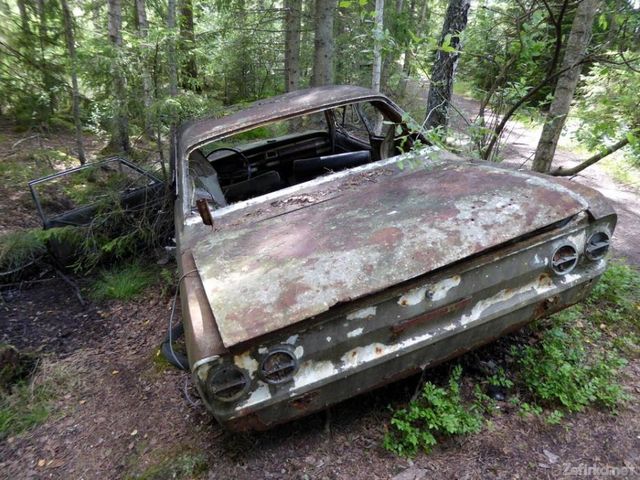 Car - фото 126761