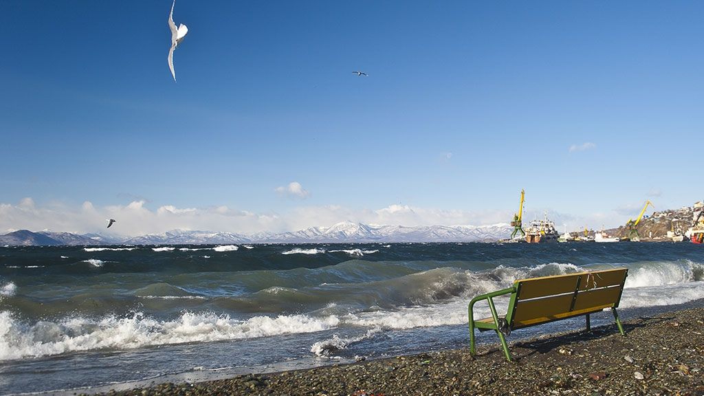 Потужний землетрус стався  у Тихому океані