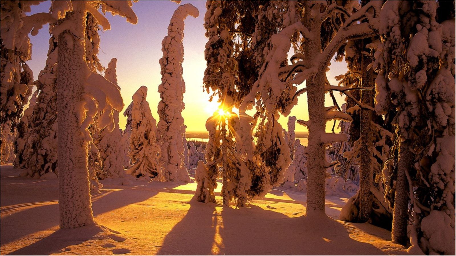 В Україні очікується потепління