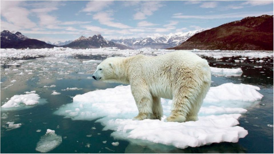 Вчені розповіли про нові наслідки глобального потепління