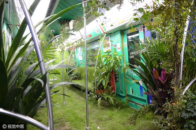 Метро - фото 123217