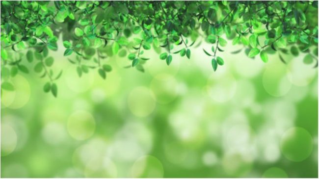 Експерти назвали головний колір наступного року