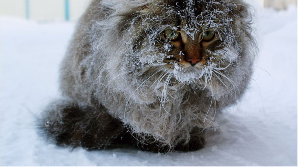 У Росії зафіксували аномально низьку температуру