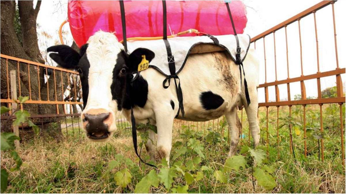 Вчені заявили про нову загрозу для майбутнього планети