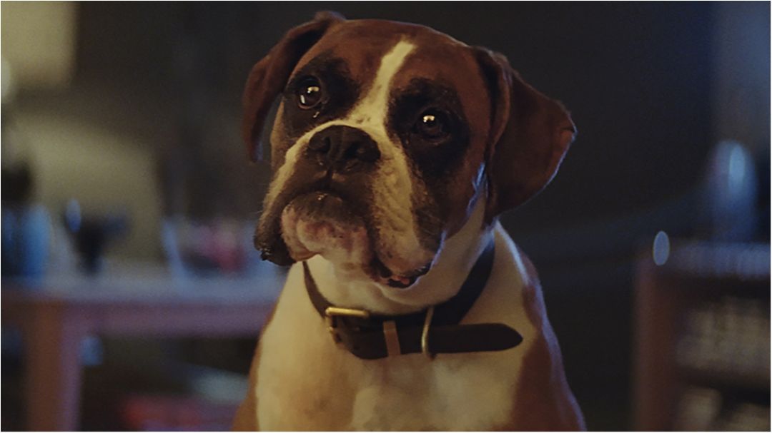 З'явився рейтинг найбільш "вірусних" відеороликів