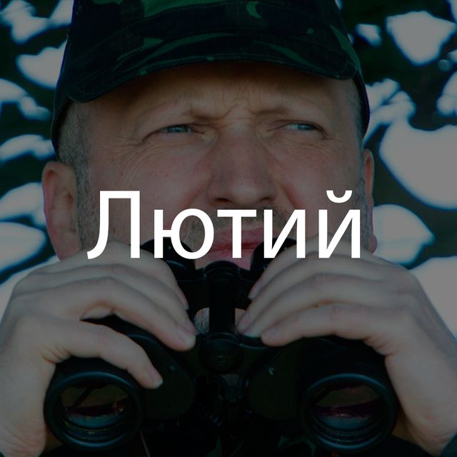 Пояснюємо 2016-й рік словами з відомих пісень - фото 125188