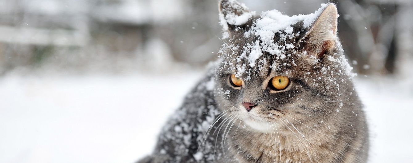 Синоптики попередили, яку погоду очікувати українцям