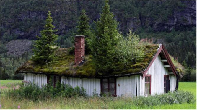 Термінал Д: Чим норвезькі будиночки підкорили світ