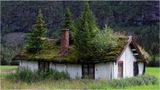 Термінал Д: Чим норвезькі будиночки підкорили світ