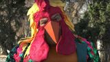 Директор одеського зоопарку співав в образі півня: кумедне відео