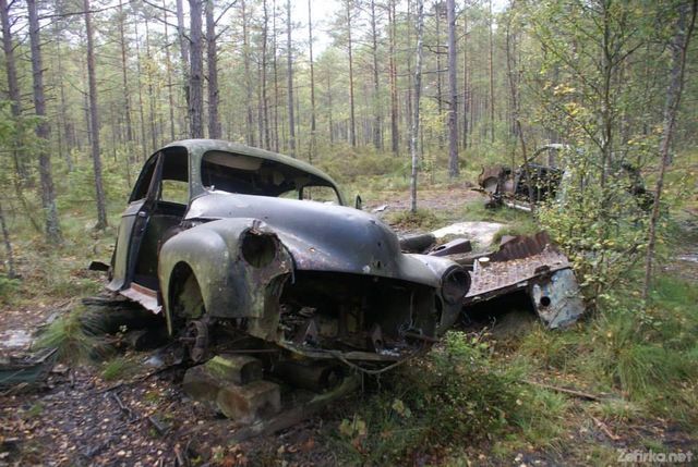 Car - фото 126767