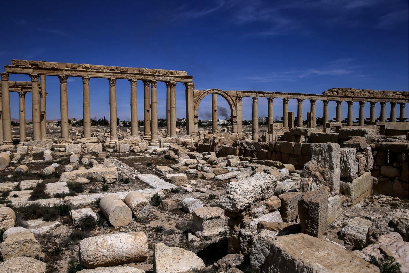 Пальміра - фото 1