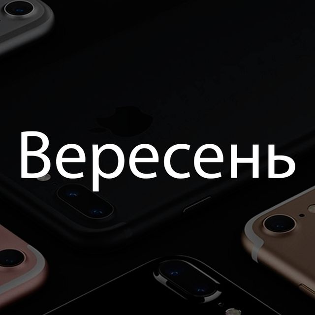 Пояснюємо 2016-й рік словами з відомих пісень - фото 125225