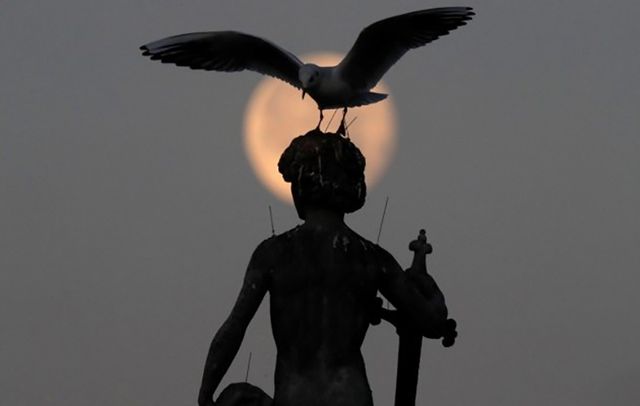 Франція - фото 126990