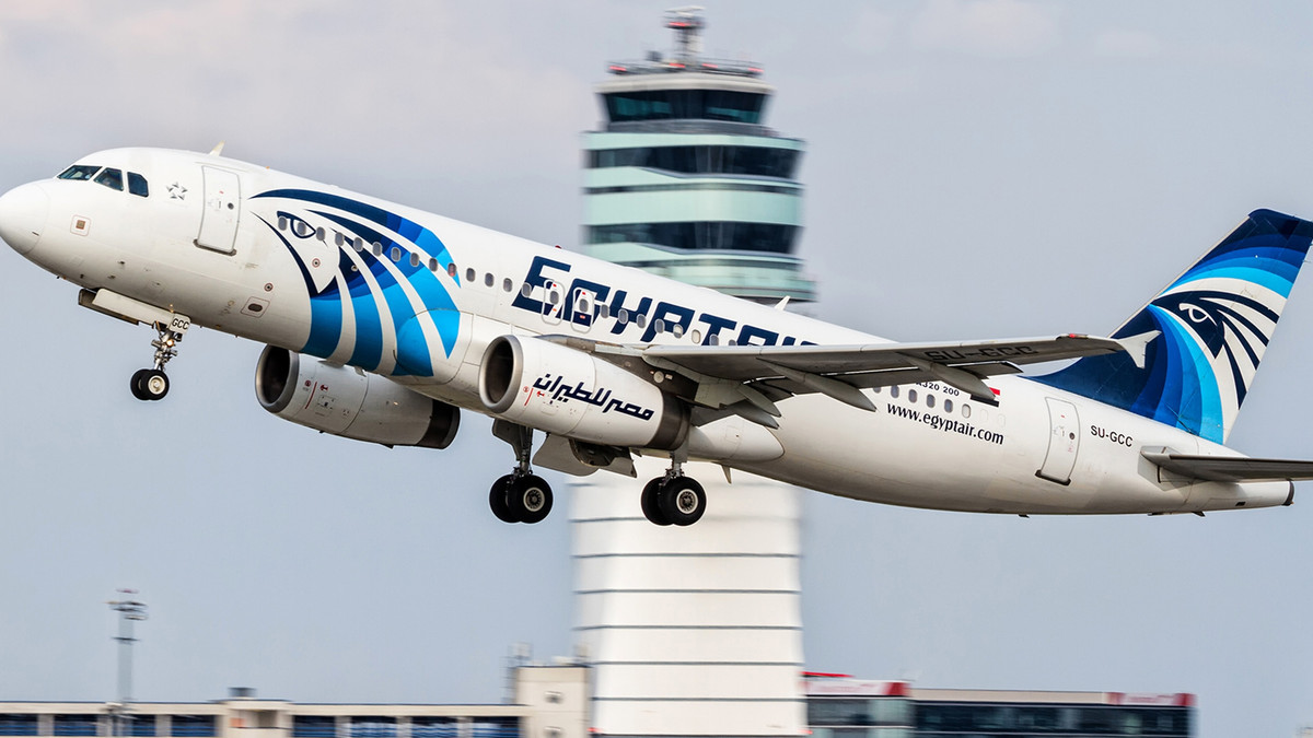 Єгипет передасть родичам останки жертв авіакатастрофи A320 - фото 1
