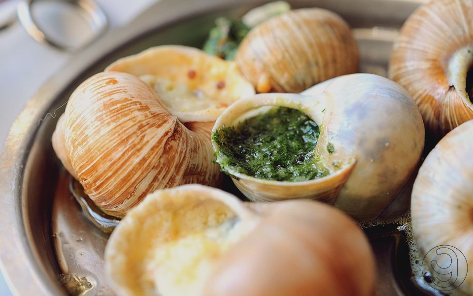 Білорусь планує експортувати равликів і жаб - фото 1