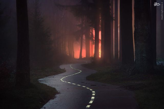 Flickr показав найкращі фотографії 2016 року- фото 126317