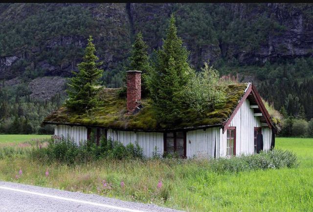Термінал Д: Чим норвезькі будиночки підкорили світ - фото 130602