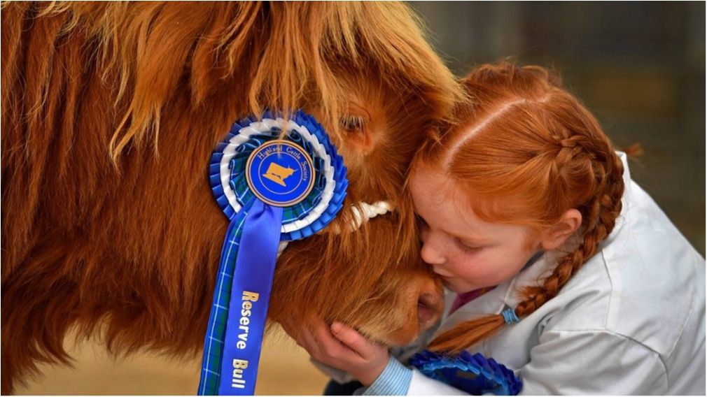 Обрано найяскравіші фото тварин 2016 року