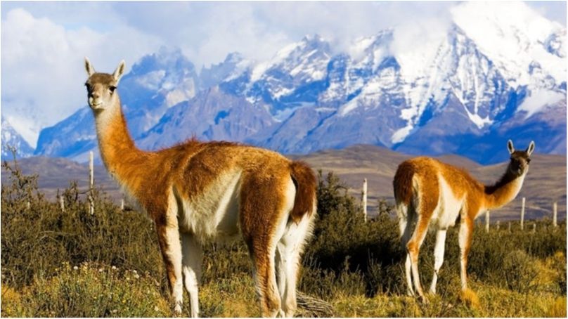 Фотограф показав містичну красу чилійських гір