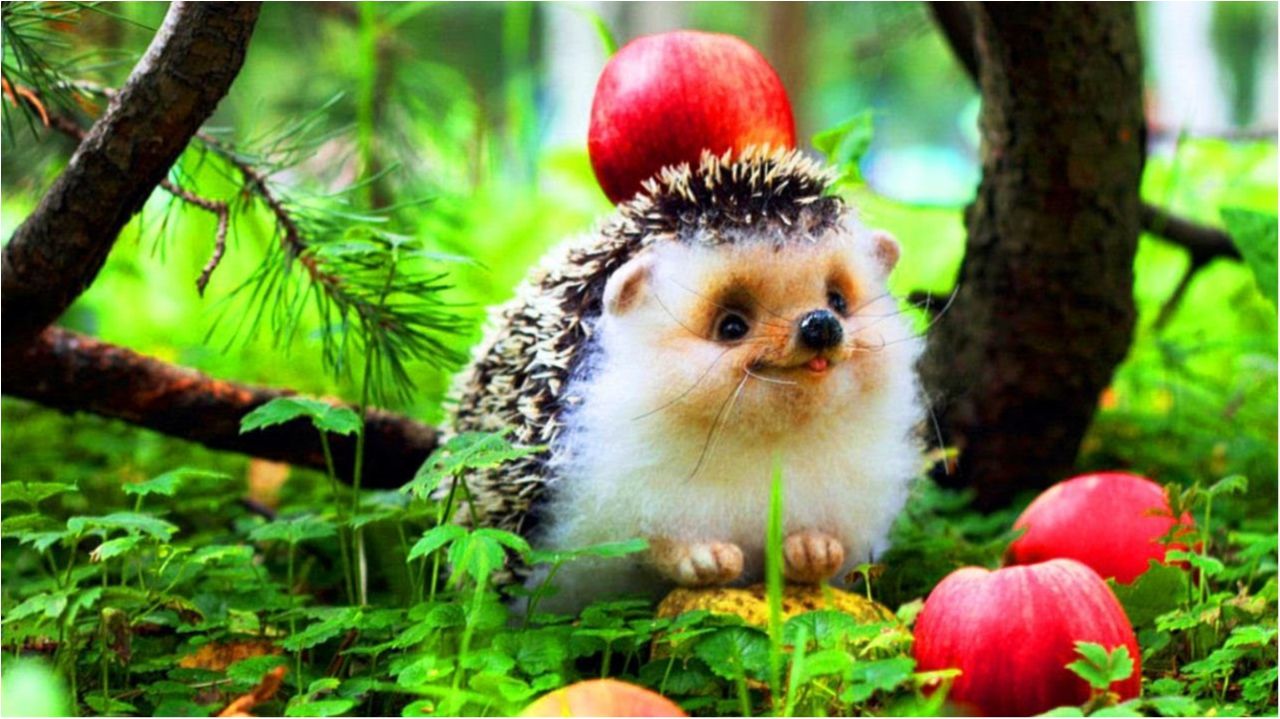 Вчені знайшли 163 нових видів тварин і рослин