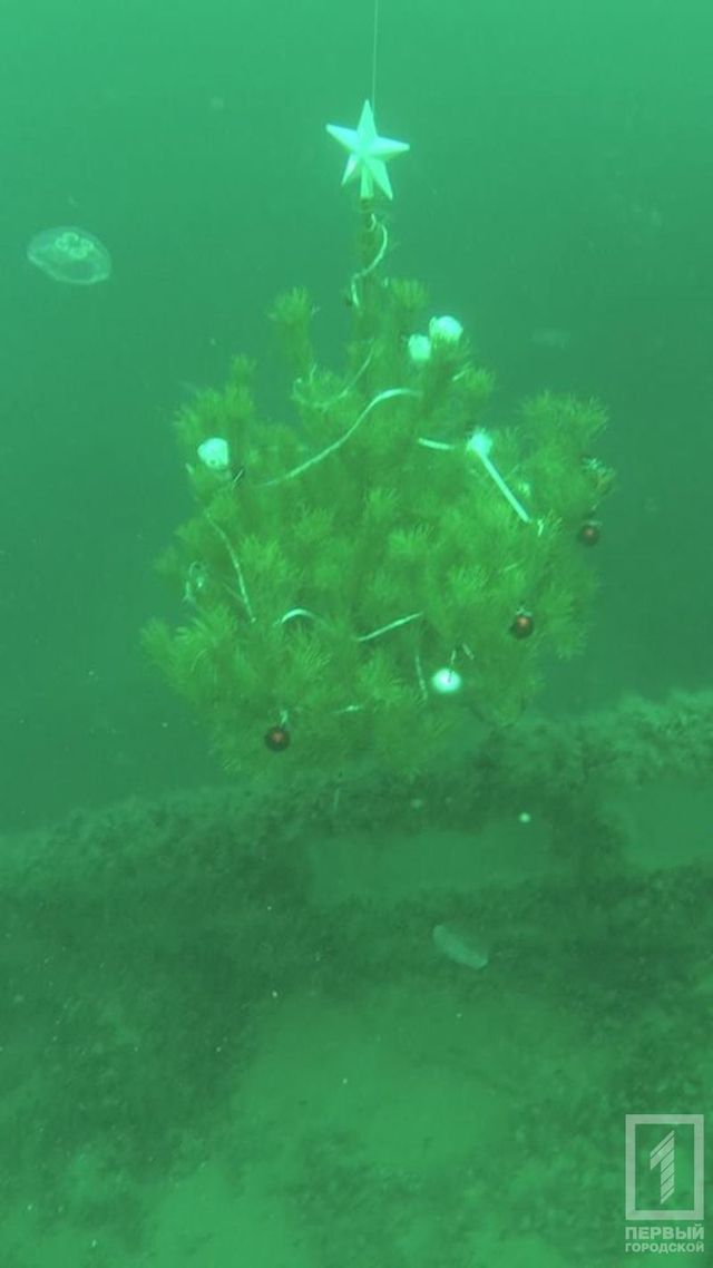 Дайвери встановили ялинку в затонулому судні: дивовижні фото - фото 129912