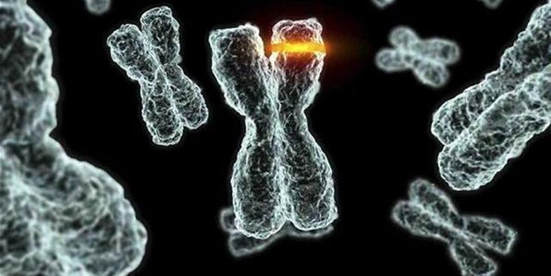 Науковці зробили сенсаційне відкриття про ДНК людини