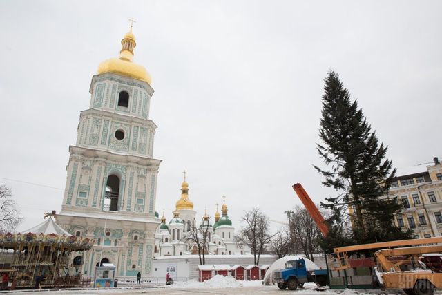 У Києві встановили головну ялинку України - фото 124119