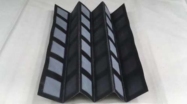 Вчені розробили батарейку, що працює на метаболізмі бактерій