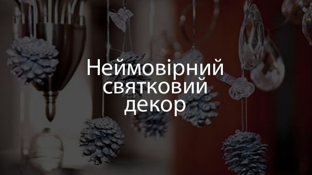 Усе, що треба знати перед новорічними святами: ТОП-поради - фото 130265